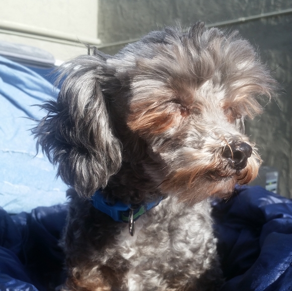 Meet your Posher, A. - Picture 4 of 6